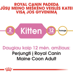 Royal Canin FBN Cat Maine Coon Kitten pašaras jaunoms Meino meškėnų veislės katėms 10 kg - nuotrauka 5