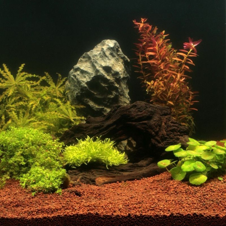 JBL Manado natūralus substratas akvariumo augalams 10 l