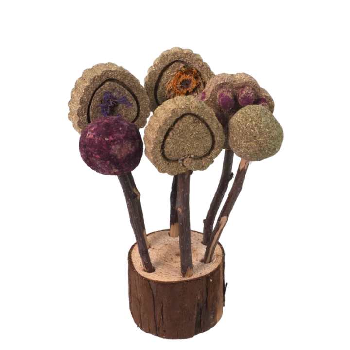 Žaislas - skanėstas smulkiems gyvūnams, 17 cm