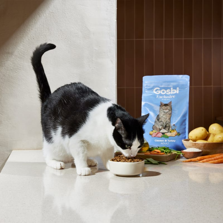 Gosbi Exclusive Cat Adult Chicken with Turkey visavertis pašaras suaugusioms katėms su vištiena ir kalakutiena, 1,5 kg