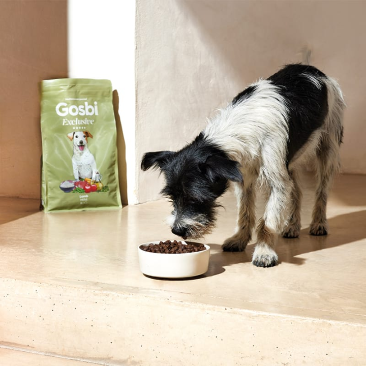 Šunų maistas su ėriena Gosbi Exclusive Lamb Mini, 7 kg | Akvazoo.lt