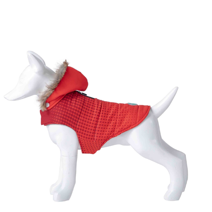 Striukė šunims Red Dot, 20 cm