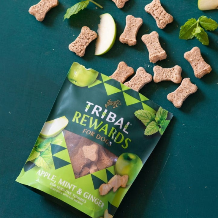 Tribal Rewards sausainiai šunims su obuoliais, mėta ir imbieru, 125 g
