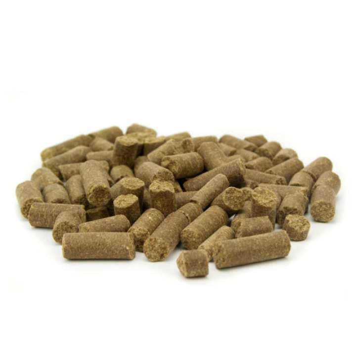 Tribal Fresh Pressed šalto spaudimo pašaras suaugusiems šunims su lašiša, 12 kg
