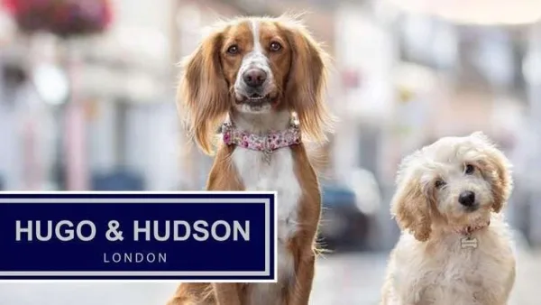 HUGO&HUDSON aukštos kokybės aksesuarai šunims