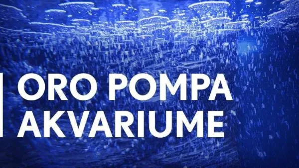 Kam akvariume reikalinga oro pompa