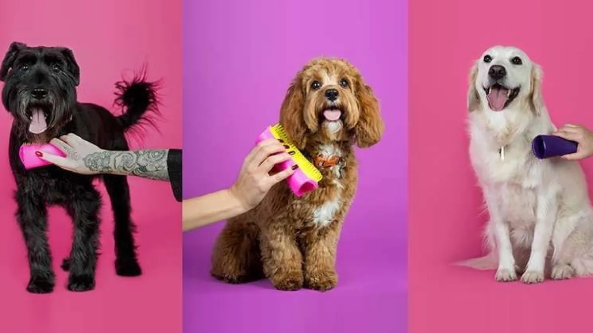 PET TEEZER šepečiai AKVAZOO NAUJIENA
