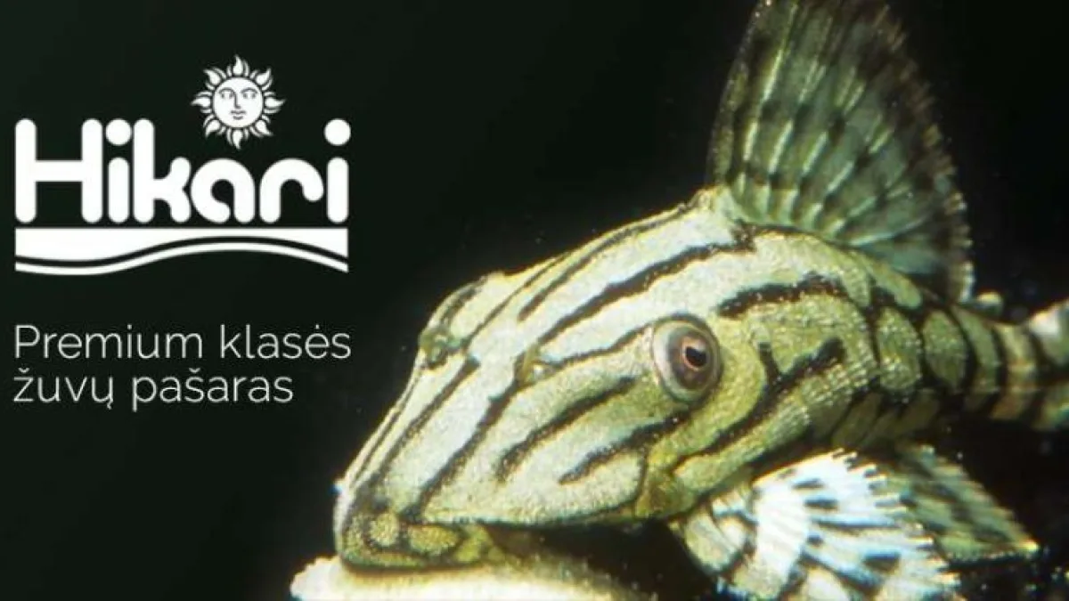 HIKARI – Premium žuvų pašarai iš Japonijos