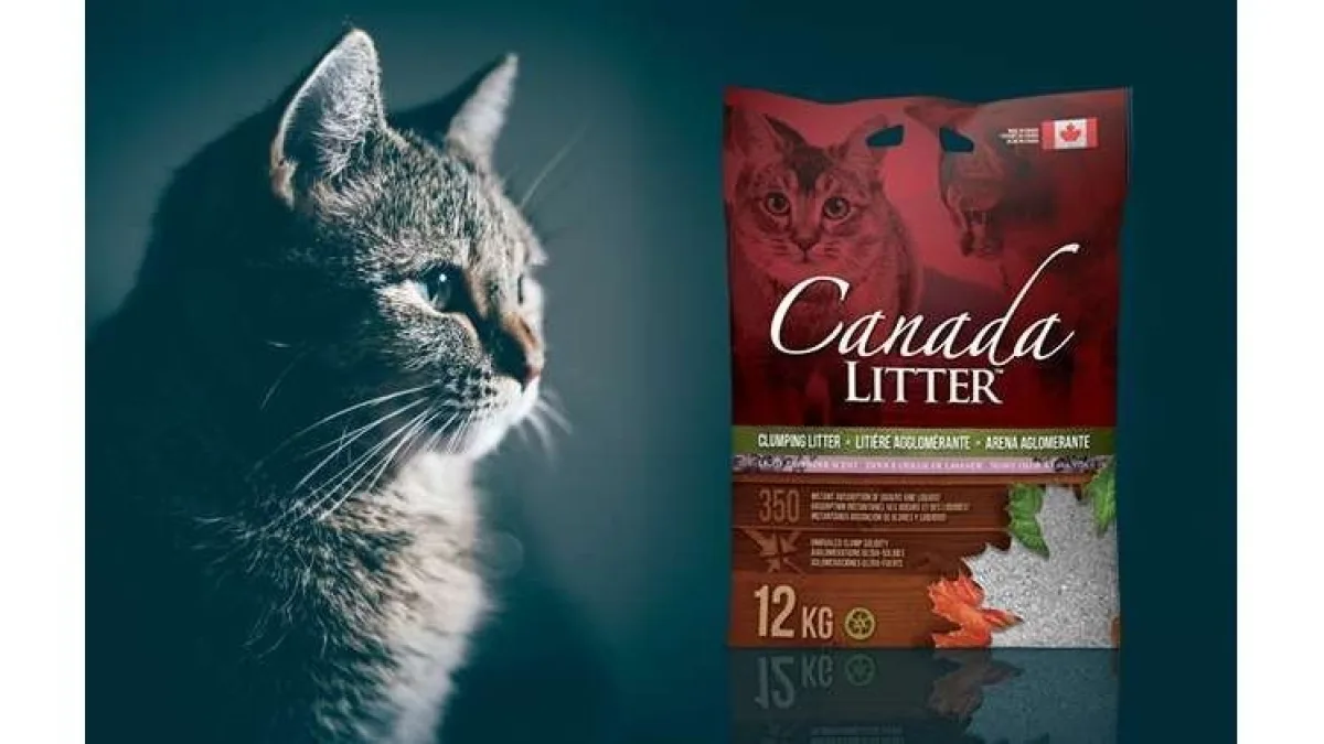 CANADA LITTER bentonitinis kraikas katėms
