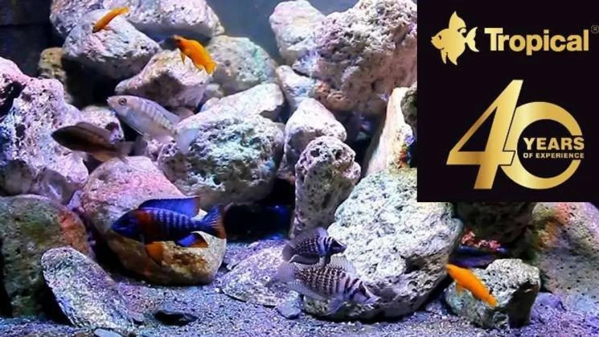 TROPICAL pašarai akvariuminėms žuvims