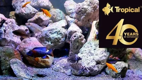 TROPICAL pašarai akvariuminėms žuvims
