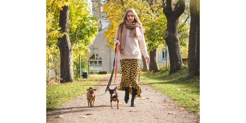 Augintiniai siunčia dovanų savo šeimininkams!