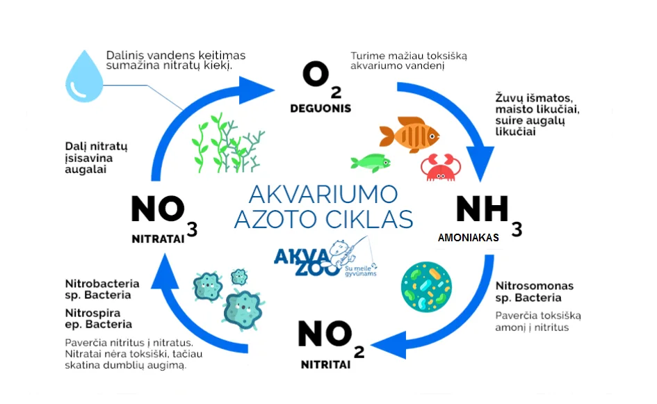 Azoto ciklas akvariume
