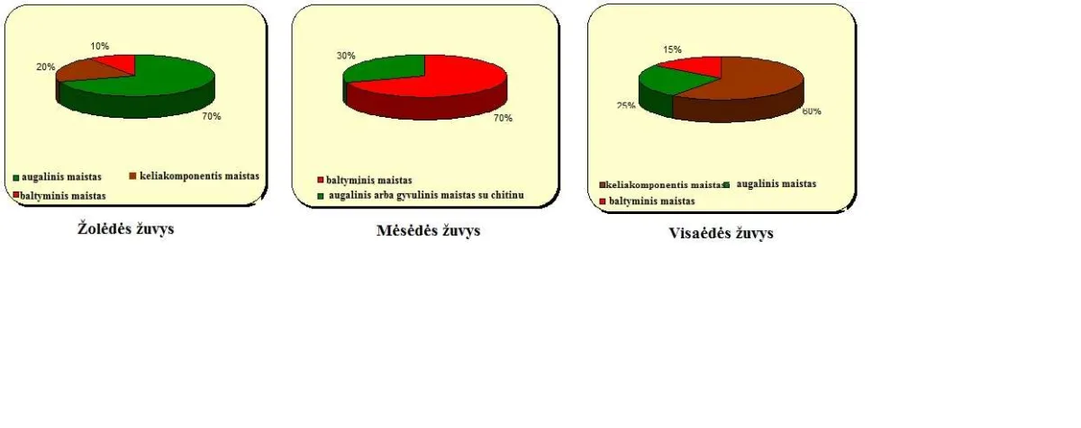 Kaip tinkamai išsirinkti maistą žuvims?